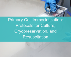 Primary Cell Immortalization: Protocols for Culture, Cryopreservation, and Resuscitation - cover
